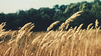 电话连环云呼叫软件