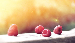 网页电话直接拨打